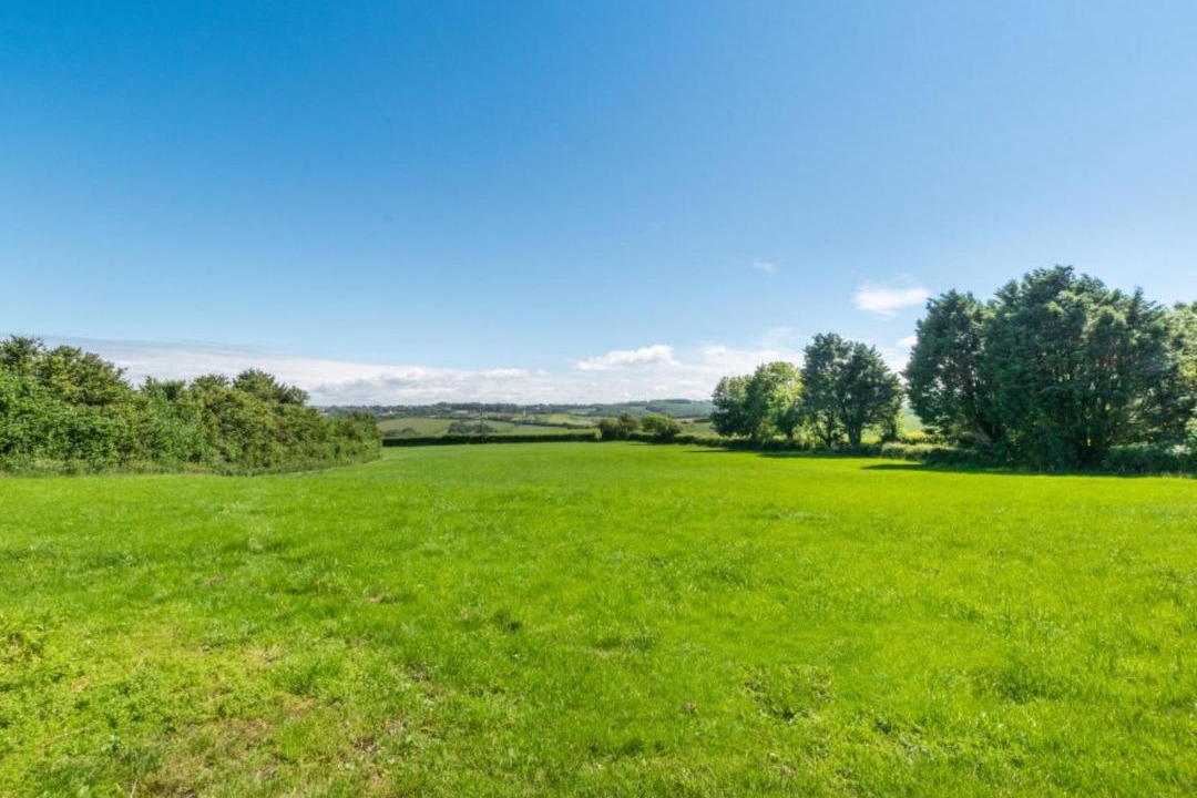 Photo of Others in Westleigh