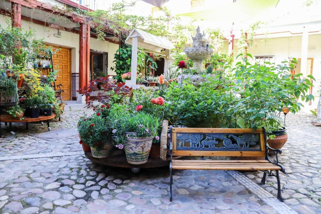 Photo of Others in Aranjuez