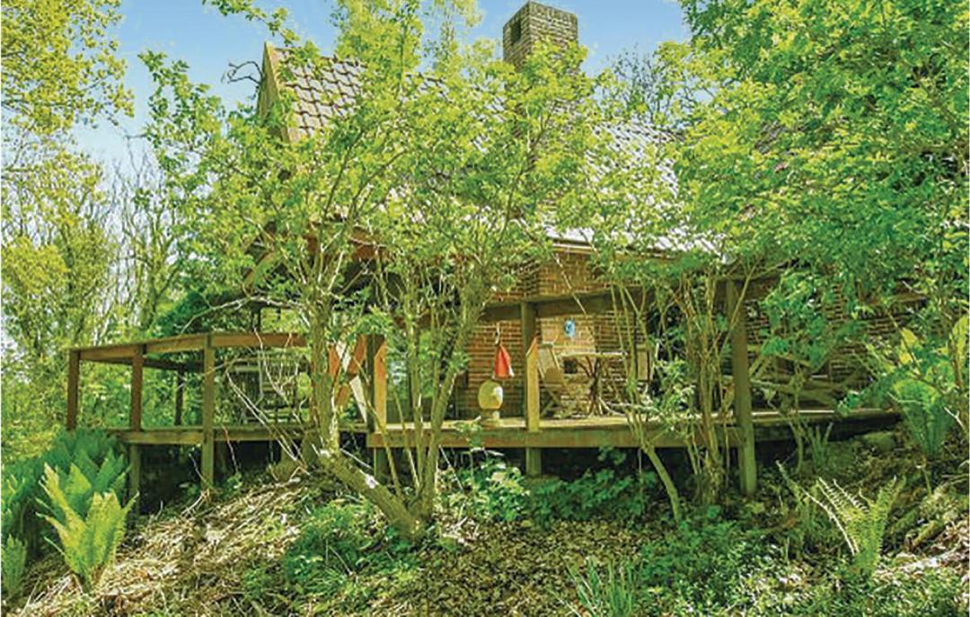 Photo of Others in Vedelshave