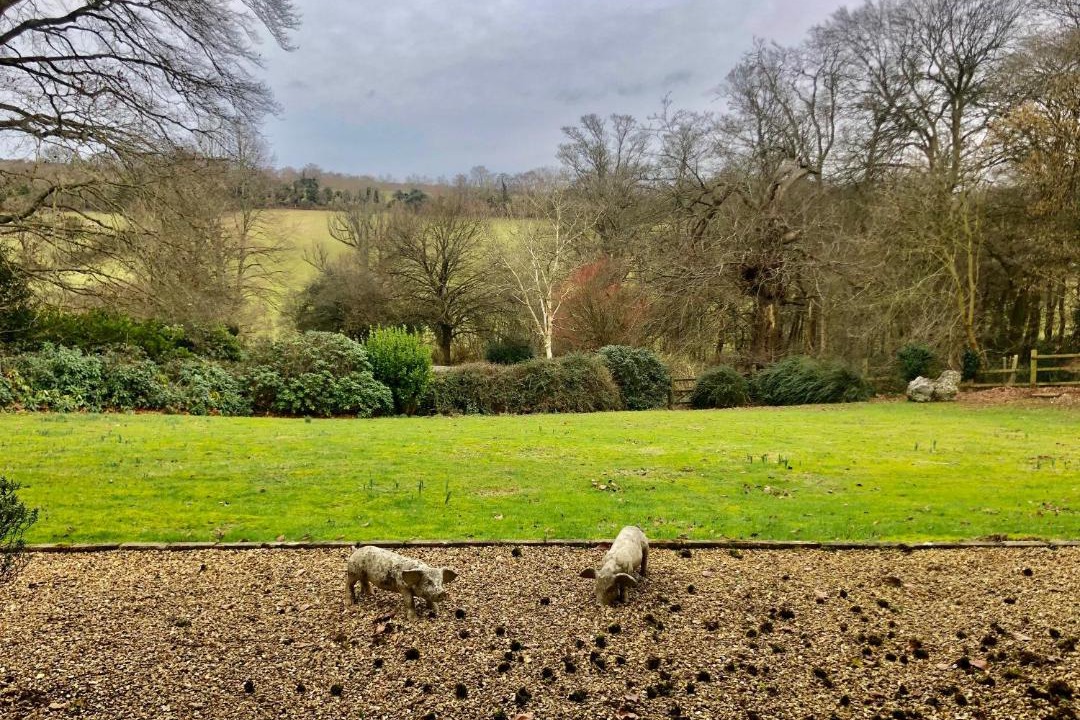 Photo of Others in Rotherfield Greys