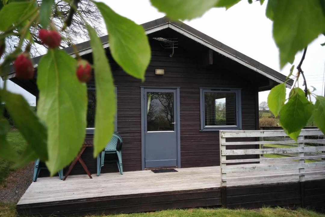 Photo of Others in Brazzacott