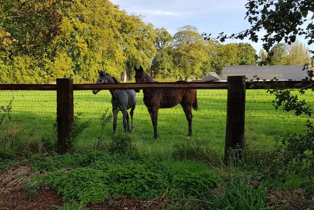 Photo of Others in Etreham