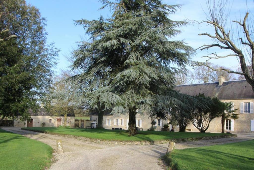 Photo of Buildings in Etreham