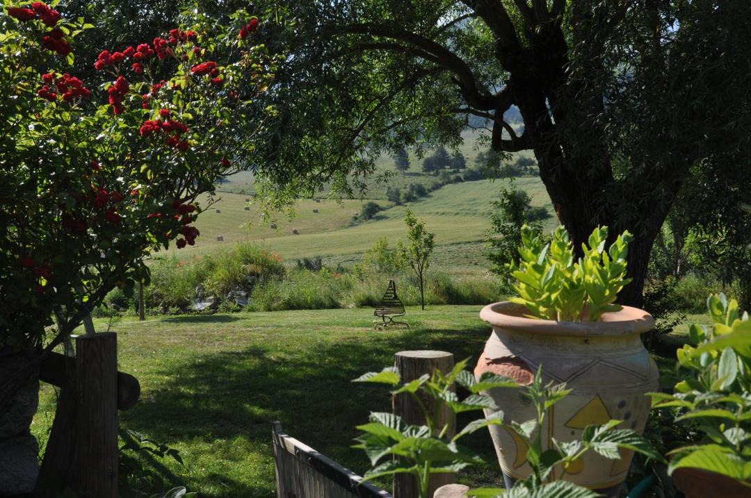 Photo of Others in Lachau