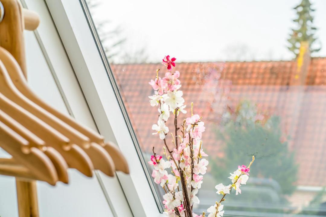 Photo of Others in Aeroskobing