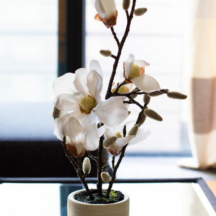 Photo of Others in Laurieston