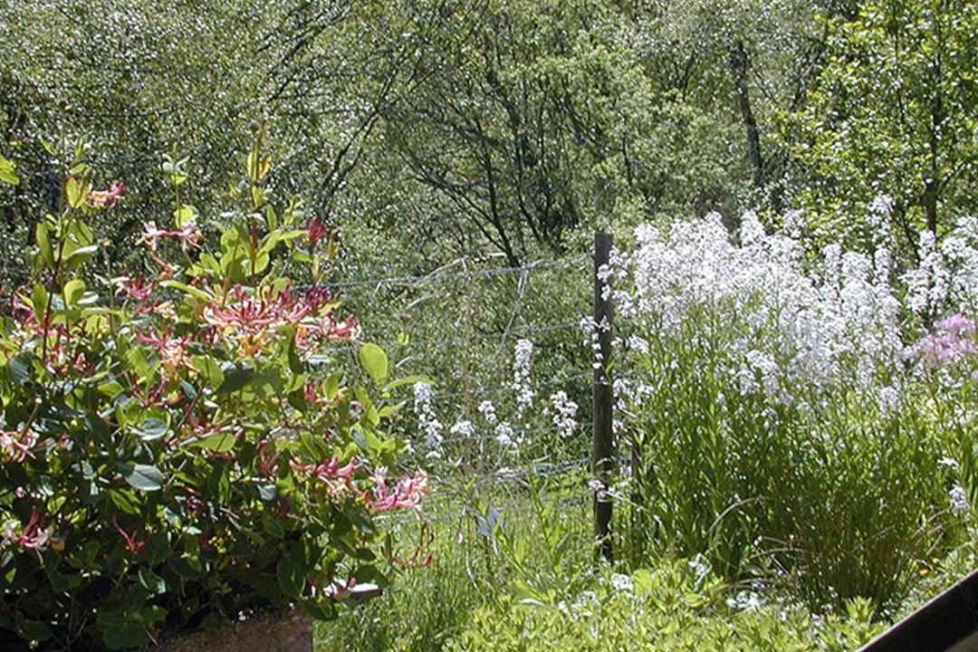 Photo of Others in Balnain