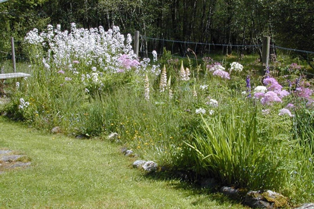 Photo of Others in Balnain