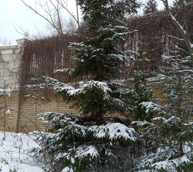 Photo of Others in Nizhniy Novgorod City Centre