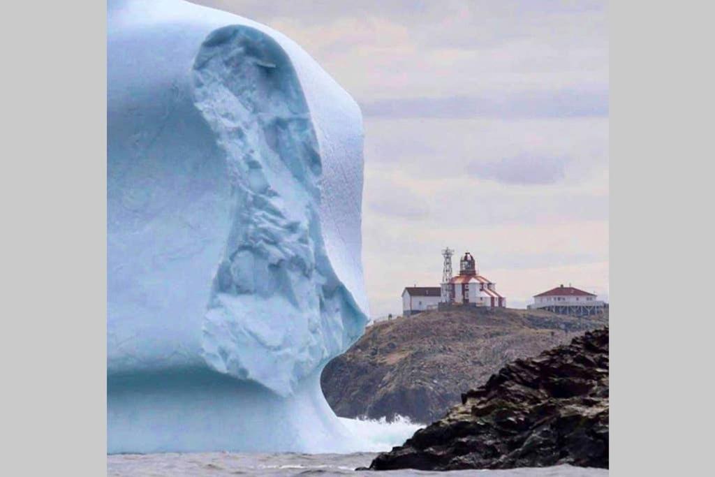 Photo of Others in Bonavista