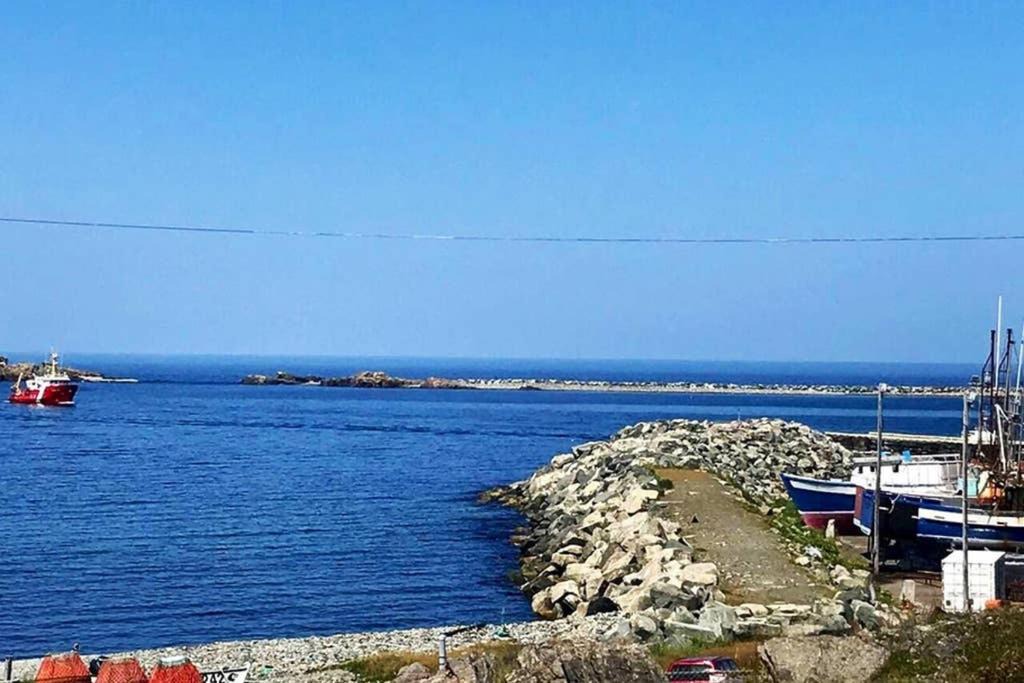 Photo of Others in Bonavista