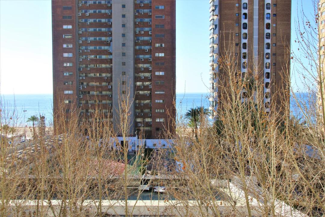 Photo of Others in Benidorm