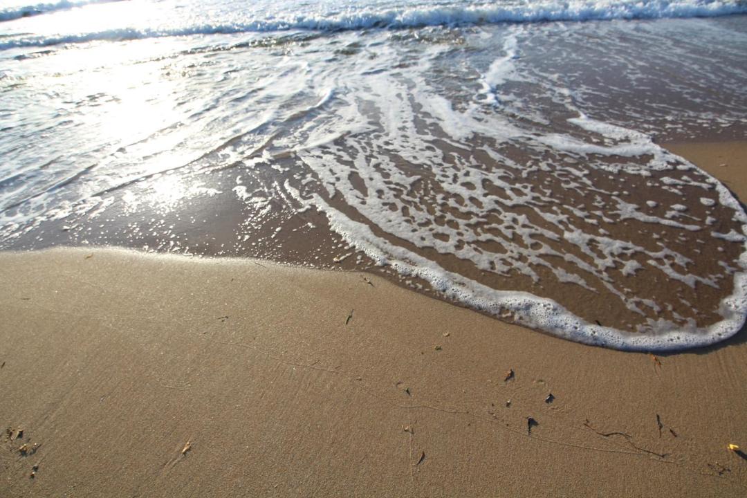 Photo of Others in La Mata