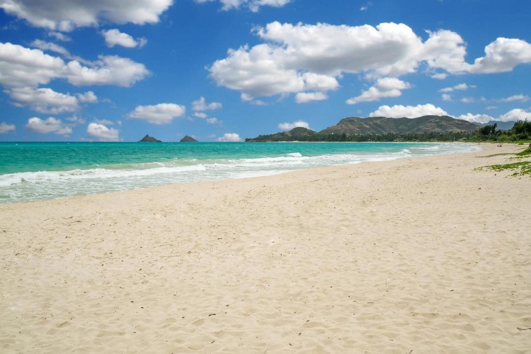 Photo of Others in Kalama Tract