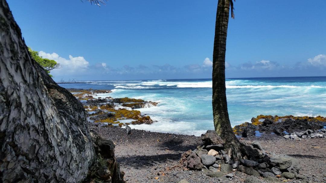 Photo of Others in Ninole