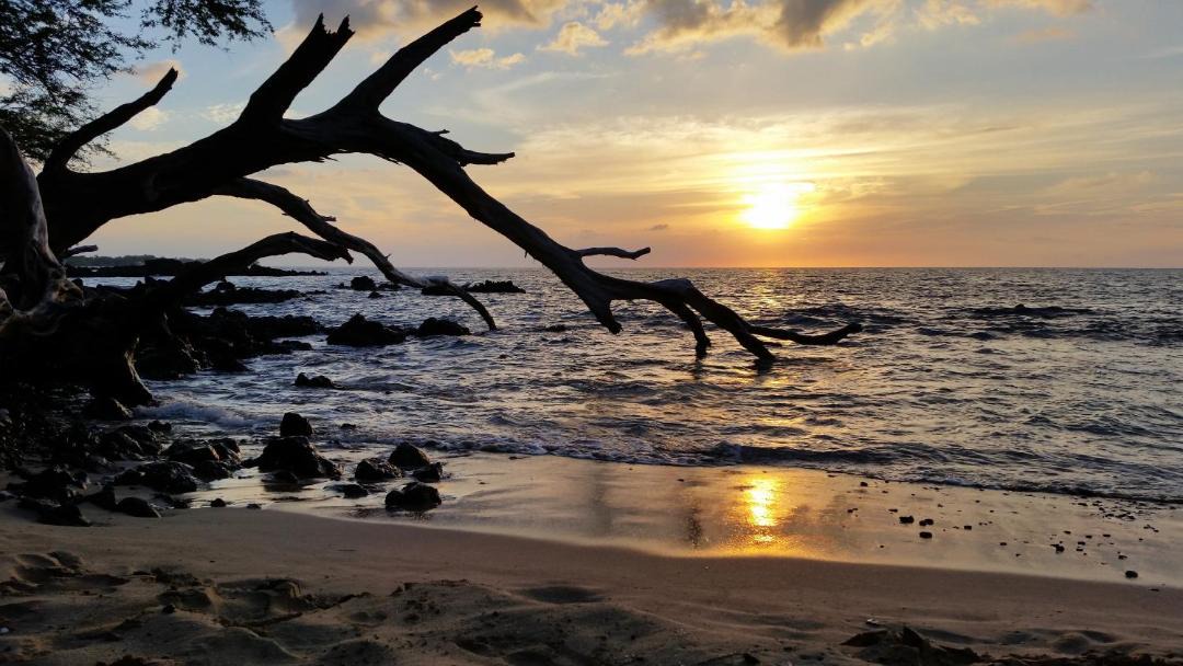 Photo of Others in Ninole