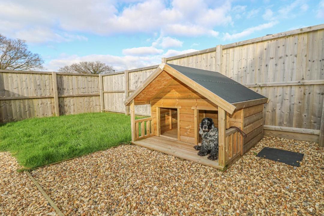 Photo of Others in Newport