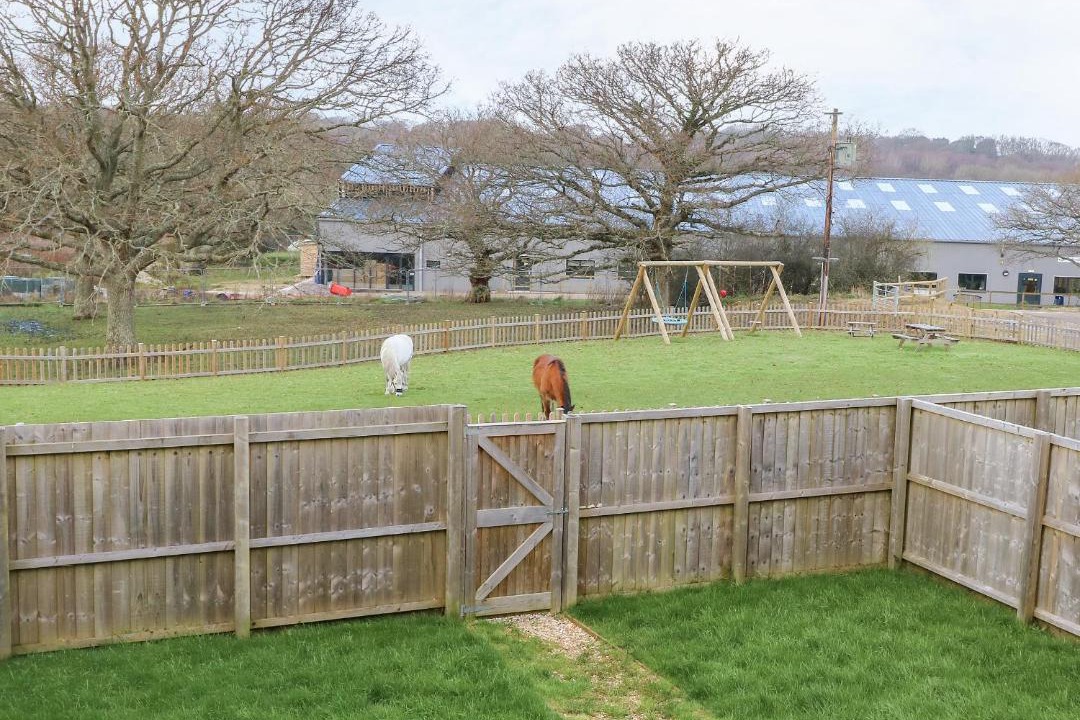 Photo of Others in Newport