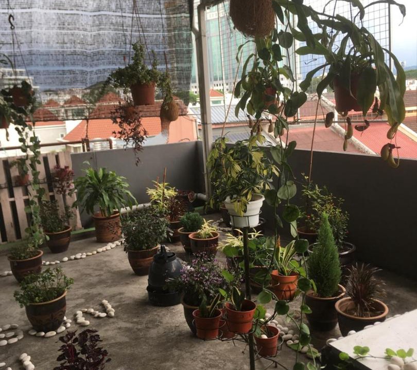 Photo of Others in Jawa