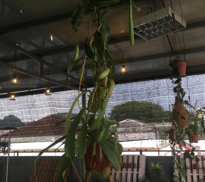 Photo of Others in Jawa