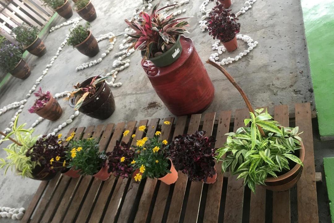 Photo of Others in Jawa