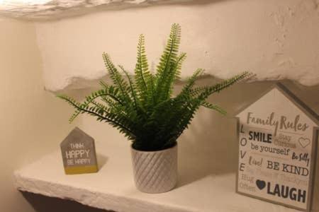 Photo of Others in Haworth