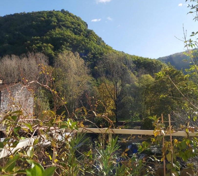 Photo of Others in Burlats