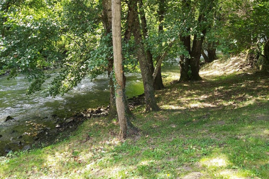 Photo of Others in Burlats