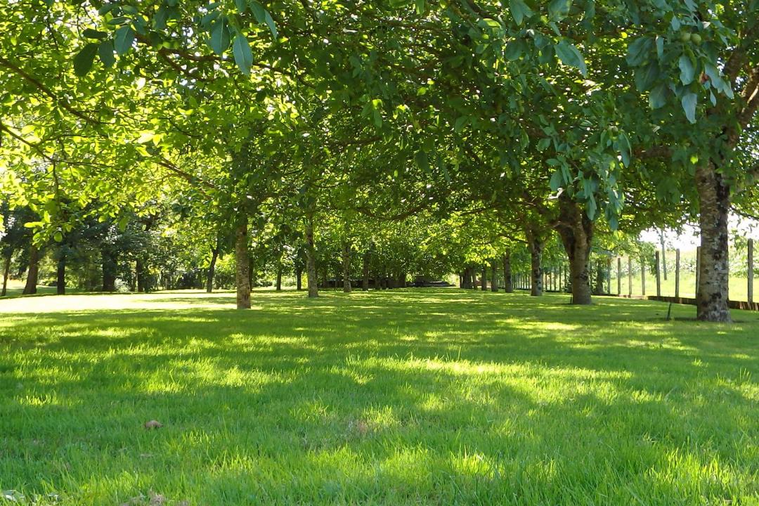 Photo of Outdoor in Les Touches-de-Perigny