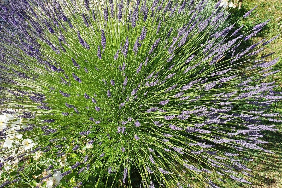 Photo of Outdoor in Saint-Pierre-Azif