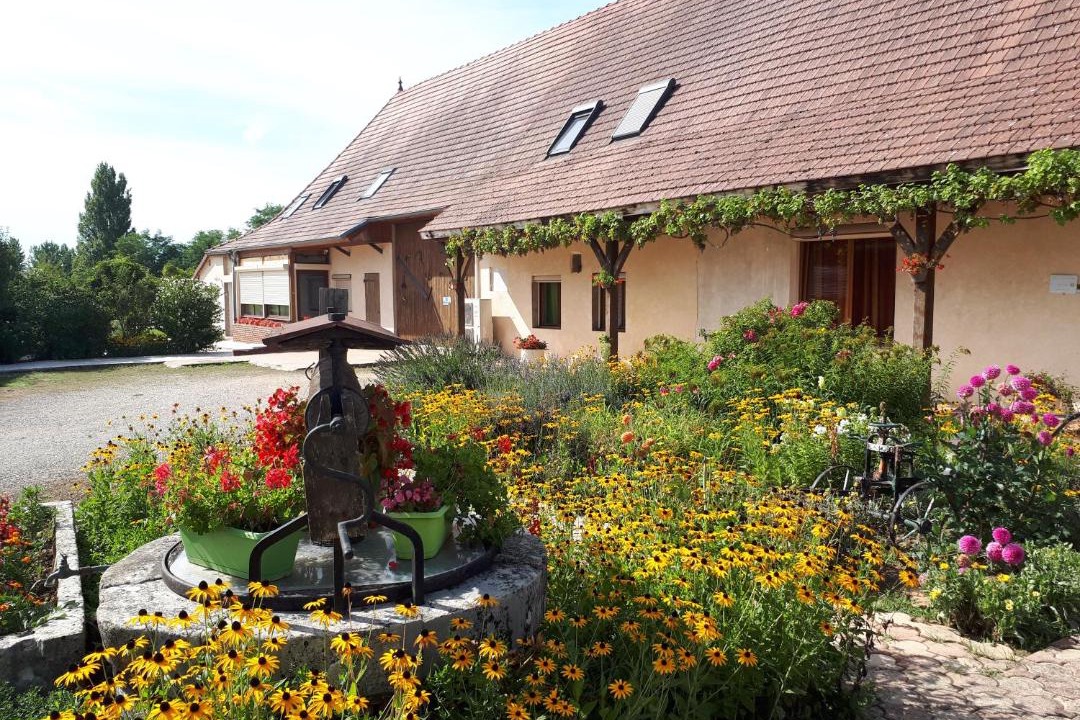 Photo of Buildings in Sens-sur-Seille