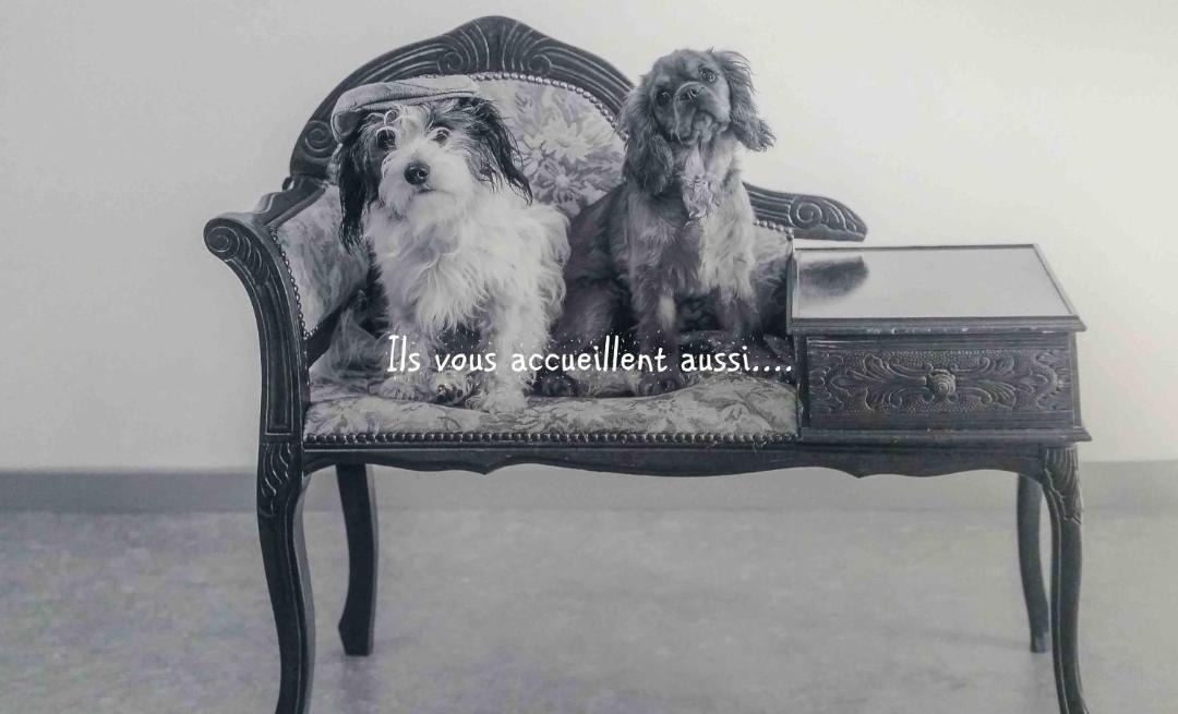 Photo of Others in Arthez-de-Bearn