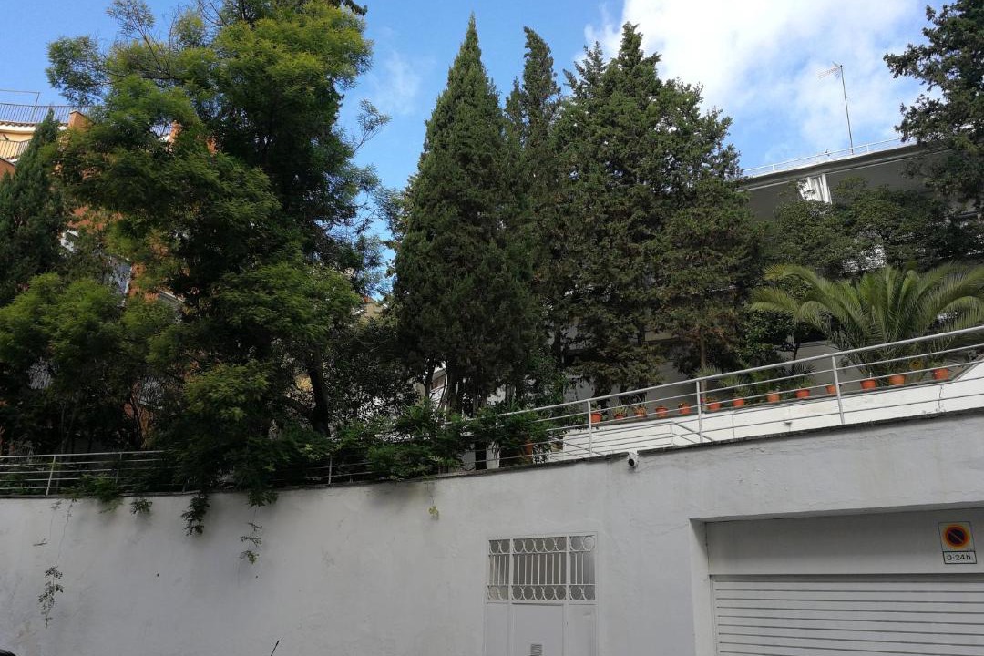 Photo of Others in Gracia