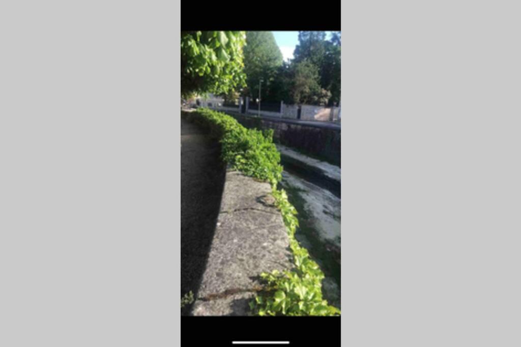 Photo of Others in Nuits-Saint-Georges