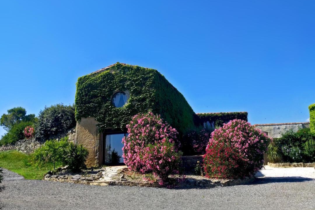 Photo of Others in Laure-Minervois