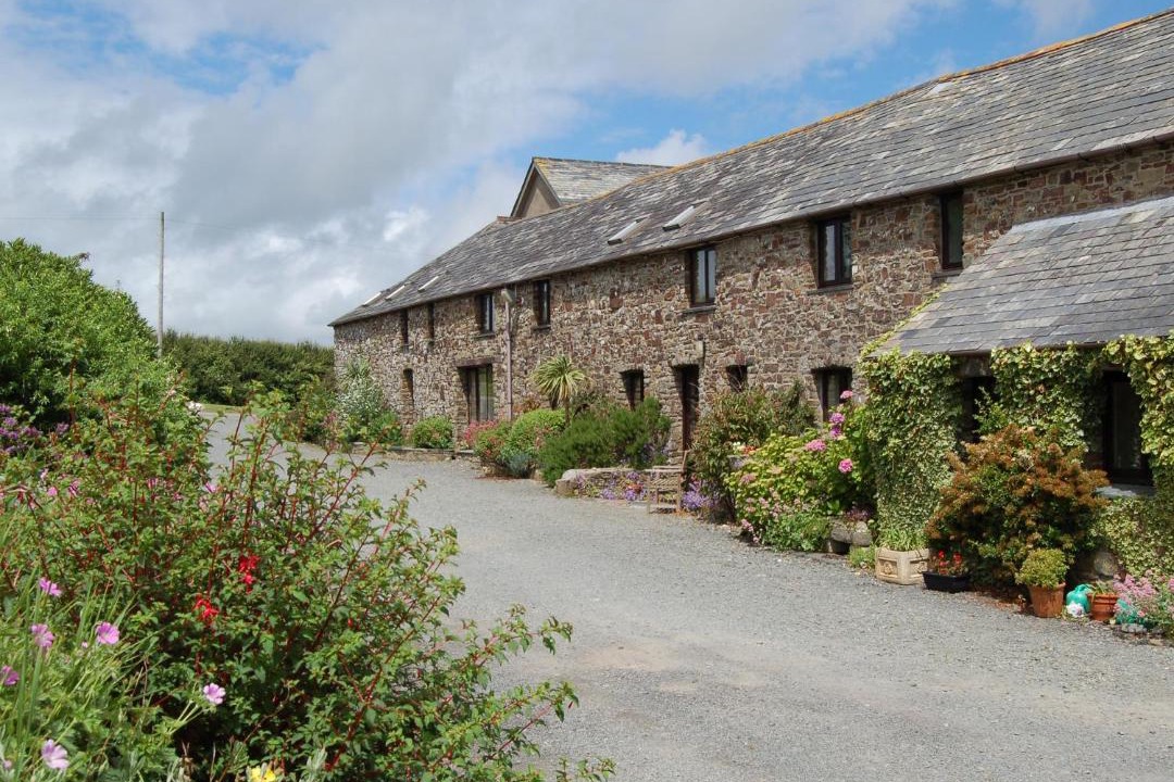 Photo of Others in Bude