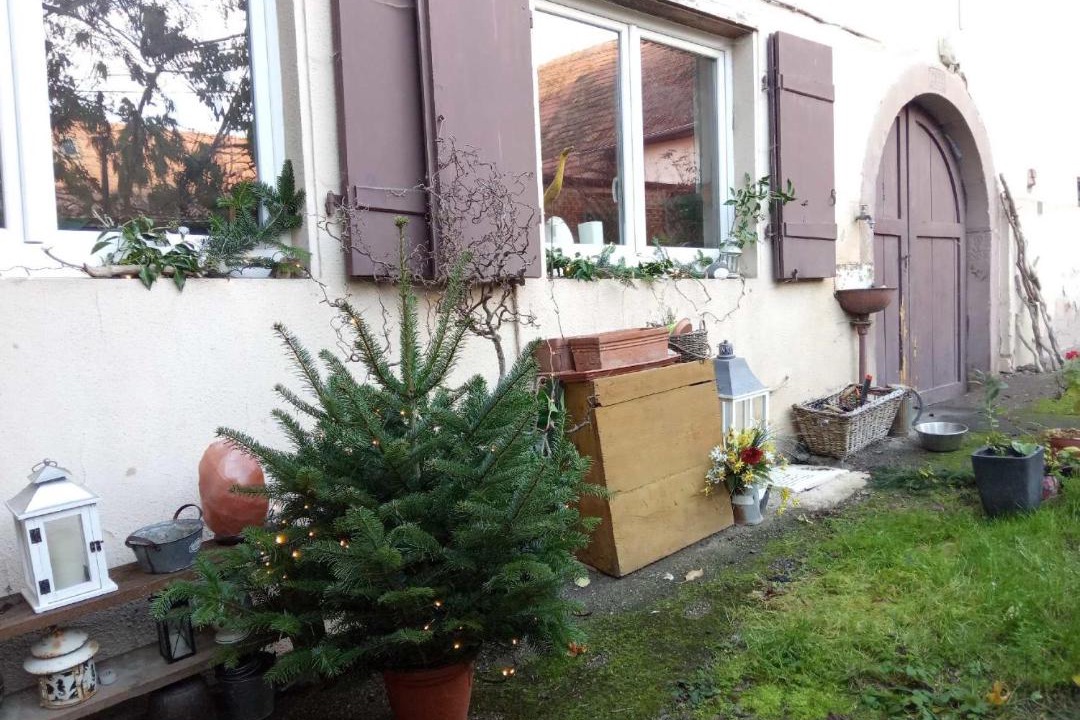 Photo of Others in Rosenwiller