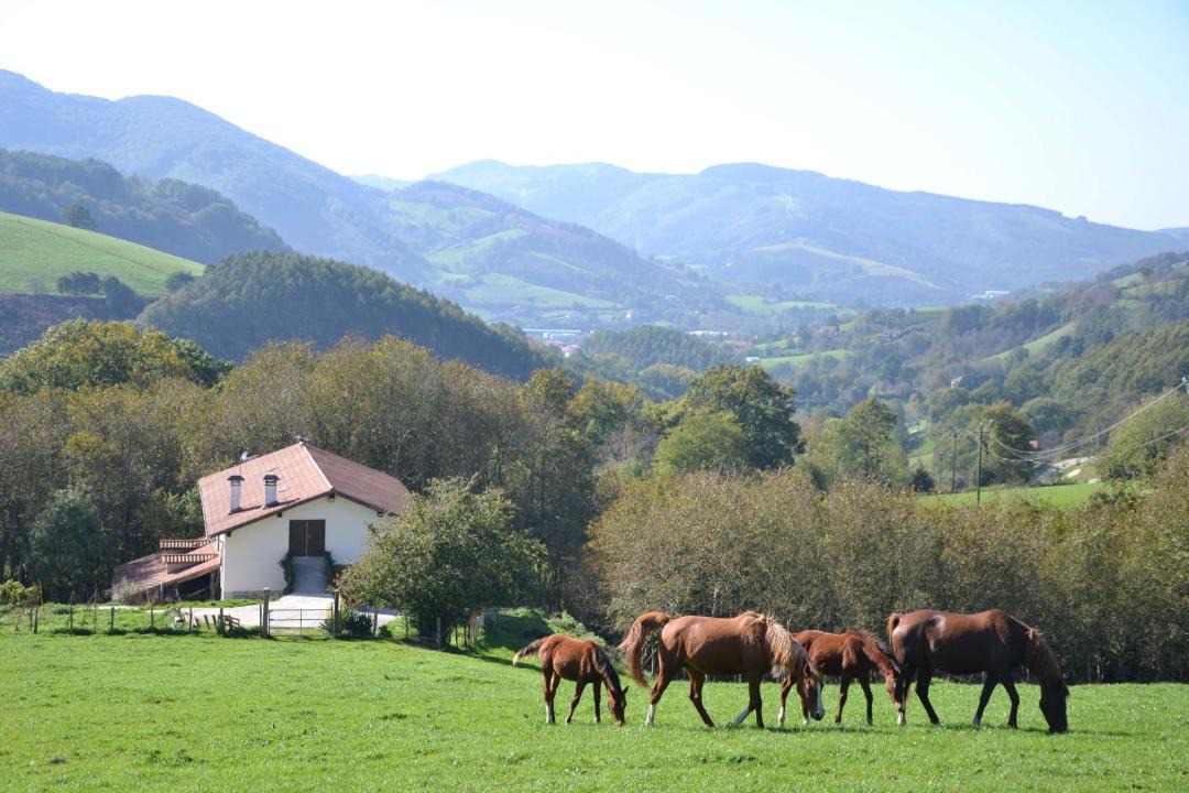 Photo of Others in Leitza