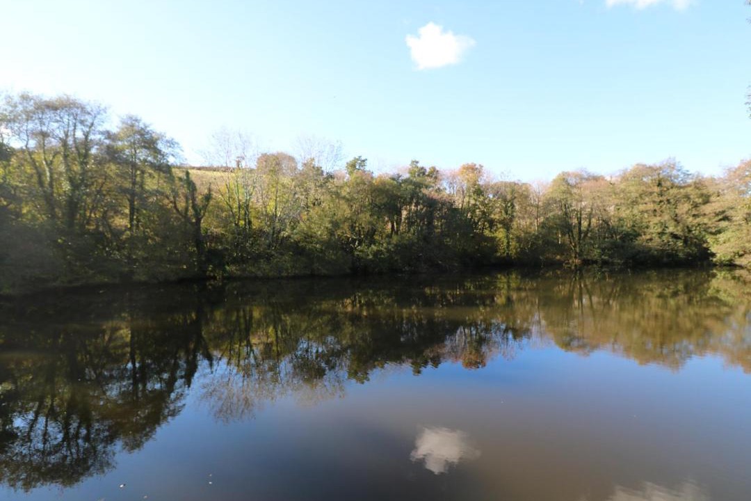 Photo of Outdoor in Looe