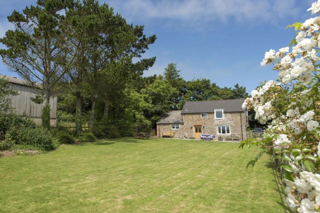 Photo of Others in Bude