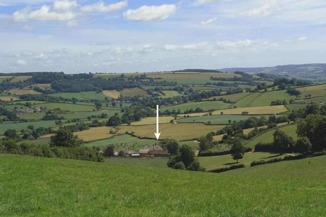 Photo of Others in Colyton