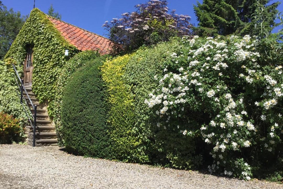 Photo of Others in Lastingham