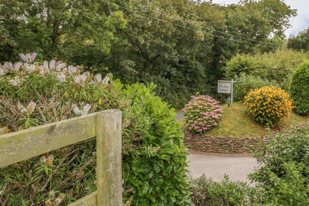 Photo of Others in Bude