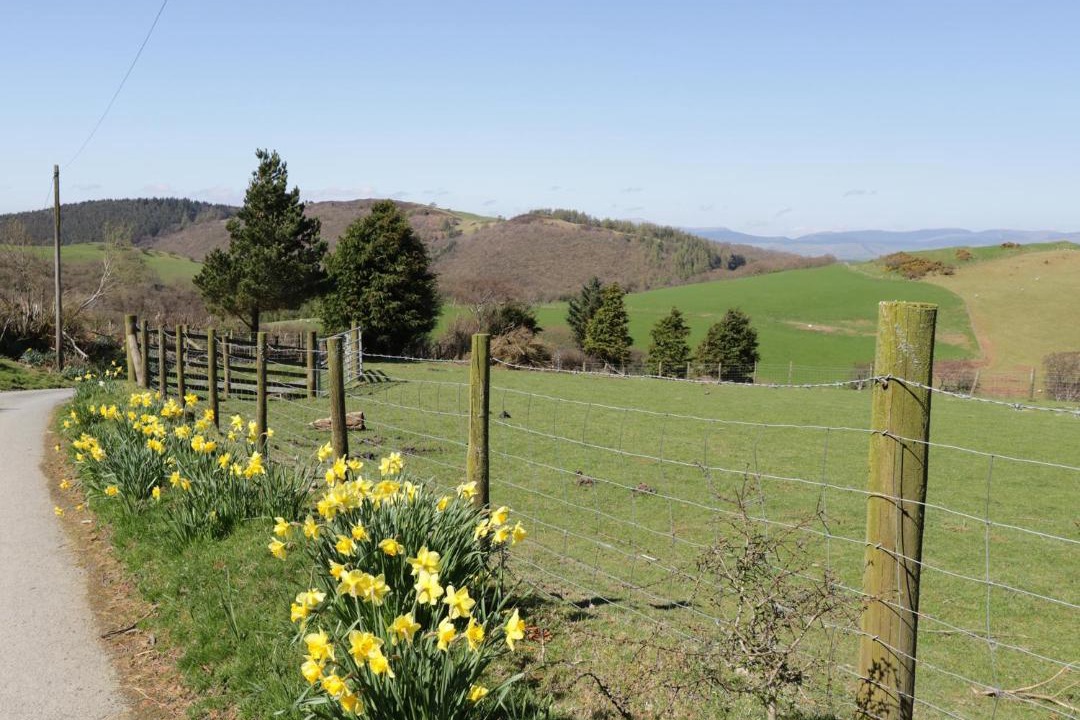 Photo of Outdoor in Machynlleth