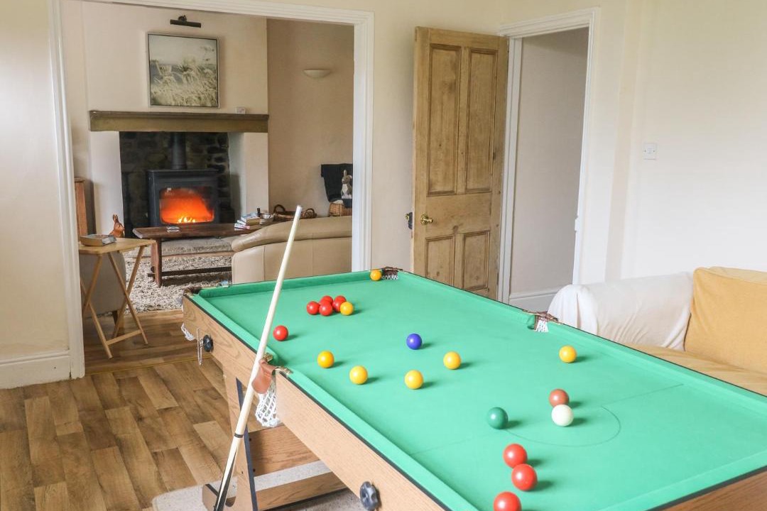 Photo of Others in Fence