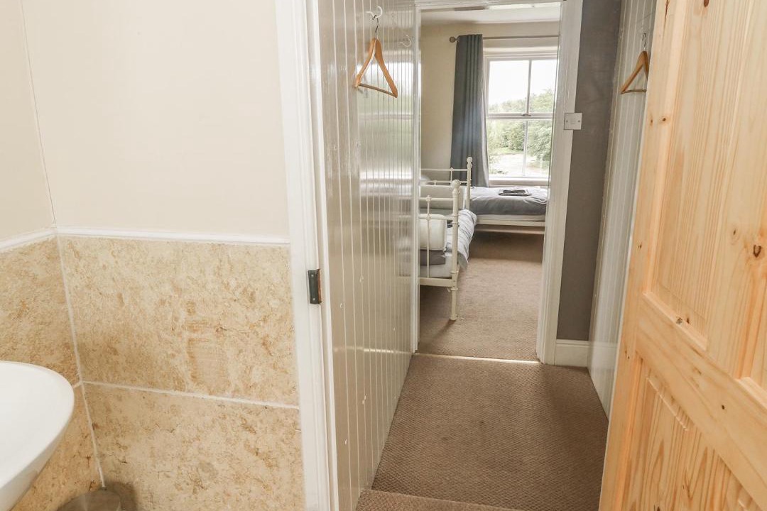 Photo of Others in Fence