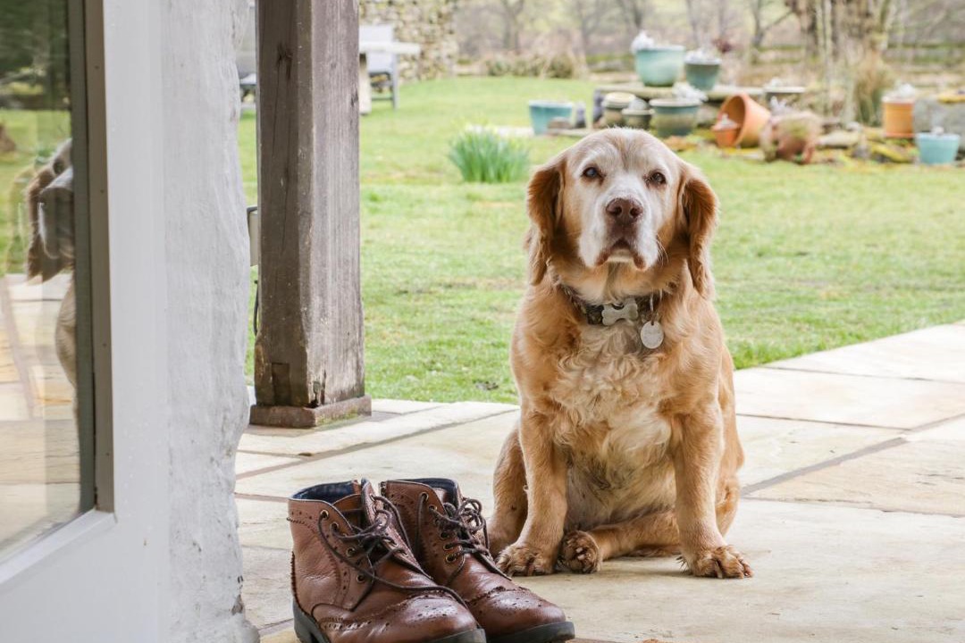 Photo of Others in Harrop Fold