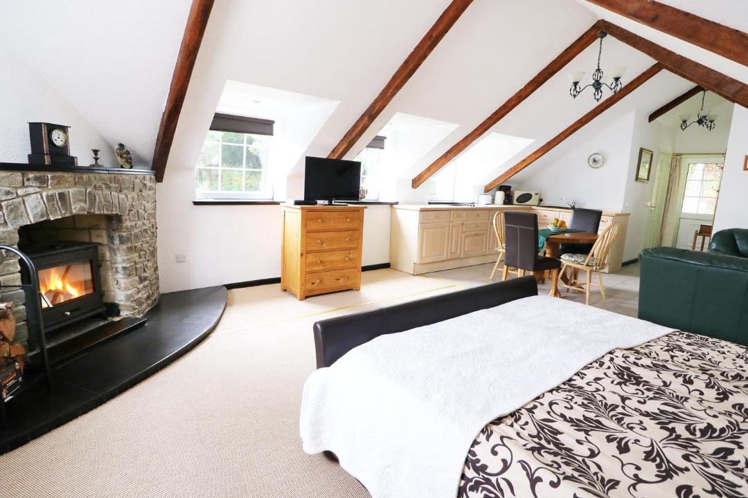 Photo of Others in Llandysul