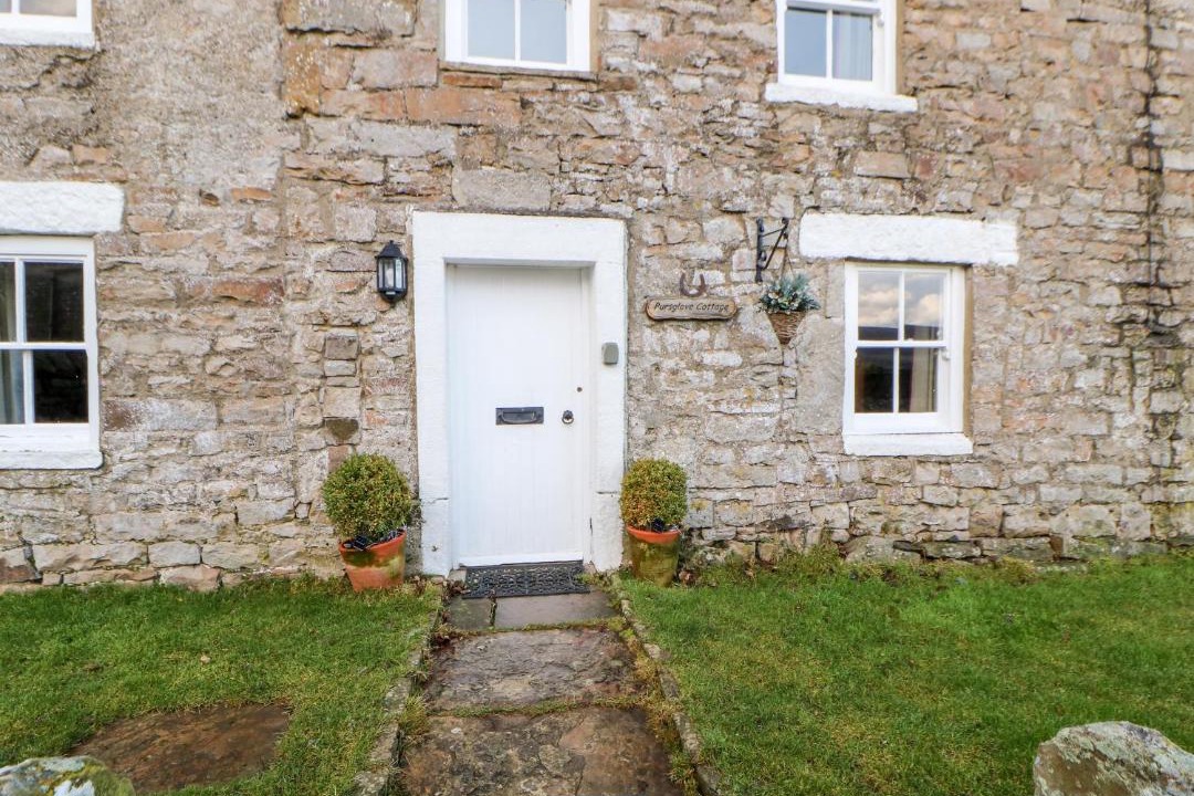 Photo of Others in Low Row