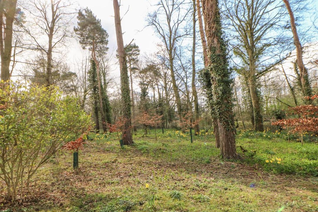 Photo of Others in Kiplin